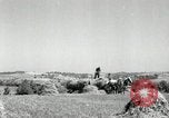 Standbild Landwirt schneiden alte Maisstängel Saint Clairsville Ohio USA, 1940, aus Sekunde 25 historischem Filmmaterial Videoclip 65675030603