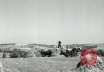 Standbild Landwirt schneiden alte Maisstängel Saint Clairsville Ohio USA, 1940, aus Sekunde 26 historischem Filmmaterial Videoclip 65675030603