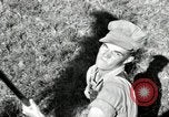 Standbild Landwirt schneiden alte Maisstängel Saint Clairsville Ohio USA, 1940, aus Sekunde 35 historischem Filmmaterial Videoclip 65675030603