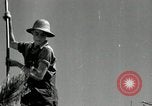 Standbild Landwirt schneiden alte Maisstängel Saint Clairsville Ohio USA, 1940, aus Sekunde 37 historischem Filmmaterial Videoclip 65675030603