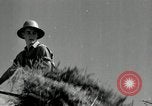 Standbild Landwirt schneiden alte Maisstängel Saint Clairsville Ohio USA, 1940, aus Sekunde 38 historischem Filmmaterial Videoclip 65675030603