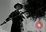 Standbild Landwirt schneiden alte Maisstängel Saint Clairsville Ohio USA, 1940, aus Sekunde 39 historischem Filmmaterial Videoclip 65675030603