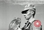 Standbild Landwirt schneiden alte Maisstängel Saint Clairsville Ohio USA, 1940, aus Sekunde 53 historischem Filmmaterial Videoclip 65675030603