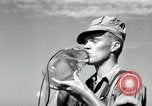 Standbild Landwirt schneiden alte Maisstängel Saint Clairsville Ohio USA, 1940, aus Sekunde 54 historischem Filmmaterial Videoclip 65675030603