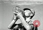 Standbild Landwirt schneiden alte Maisstängel Saint Clairsville Ohio USA, 1940, aus Sekunde 58 historischem Filmmaterial Videoclip 65675030603
