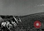 Standbild Lkw beladen mit Heu Saint Clairsville Ohio USA, 1940, aus Sekunde 3 historischem Filmmaterial Videoclip 65675030604