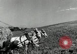 Standbild Lkw beladen mit Heu Saint Clairsville Ohio USA, 1940, aus Sekunde 4 historischem Filmmaterial Videoclip 65675030604