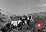 Standbild Lkw beladen mit Heu Saint Clairsville Ohio USA, 1940, aus Sekunde 5 historischem Filmmaterial Videoclip 65675030604