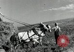 Standbild Lkw beladen mit Heu Saint Clairsville Ohio USA, 1940, aus Sekunde 6 historischem Filmmaterial Videoclip 65675030604