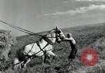 Standbild Lkw beladen mit Heu Saint Clairsville Ohio USA, 1940, aus Sekunde 7 historischem Filmmaterial Videoclip 65675030604