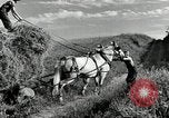 Standbild Lkw beladen mit Heu Saint Clairsville Ohio USA, 1940, aus Sekunde 12 historischem Filmmaterial Videoclip 65675030604
