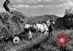 Standbild Lkw beladen mit Heu Saint Clairsville Ohio USA, 1940, aus Sekunde 13 historischem Filmmaterial Videoclip 65675030604