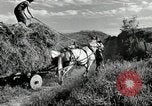 Standbild Lkw beladen mit Heu Saint Clairsville Ohio USA, 1940, aus Sekunde 14 historischem Filmmaterial Videoclip 65675030604