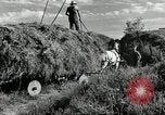 Standbild Lkw beladen mit Heu Saint Clairsville Ohio USA, 1940, aus Sekunde 17 historischem Filmmaterial Videoclip 65675030604