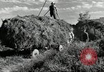 Standbild Lkw beladen mit Heu Saint Clairsville Ohio USA, 1940, aus Sekunde 18 historischem Filmmaterial Videoclip 65675030604