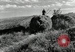 Standbild Lkw beladen mit Heu Saint Clairsville Ohio USA, 1940, aus Sekunde 23 historischem Filmmaterial Videoclip 65675030604