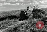 Standbild Lkw beladen mit Heu Saint Clairsville Ohio USA, 1940, aus Sekunde 24 historischem Filmmaterial Videoclip 65675030604