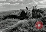 Standbild Lkw beladen mit Heu Saint Clairsville Ohio USA, 1940, aus Sekunde 25 historischem Filmmaterial Videoclip 65675030604