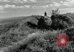Standbild Lkw beladen mit Heu Saint Clairsville Ohio USA, 1940, aus Sekunde 30 historischem Filmmaterial Videoclip 65675030604