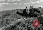 Standbild Lkw beladen mit Heu Saint Clairsville Ohio USA, 1940, aus Sekunde 33 historischem Filmmaterial Videoclip 65675030604