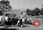Standbild Lkw beladen mit Heu Saint Clairsville Ohio USA, 1940, aus Sekunde 39 historischem Filmmaterial Videoclip 65675030604