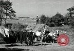 Standbild Lkw beladen mit Heu Saint Clairsville Ohio USA, 1940, aus Sekunde 41 historischem Filmmaterial Videoclip 65675030604
