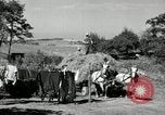 Standbild Lkw beladen mit Heu Saint Clairsville Ohio USA, 1940, aus Sekunde 42 historischem Filmmaterial Videoclip 65675030604