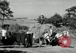 Standbild Lkw beladen mit Heu Saint Clairsville Ohio USA, 1940, aus Sekunde 43 historischem Filmmaterial Videoclip 65675030604