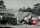 Standbild Lkw beladen mit Heu Saint Clairsville Ohio USA, 1940, aus Sekunde 44 historischem Filmmaterial Videoclip 65675030604