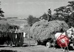 Standbild Lkw beladen mit Heu Saint Clairsville Ohio USA, 1940, aus Sekunde 46 historischem Filmmaterial Videoclip 65675030604