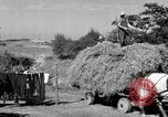 Standbild Lkw beladen mit Heu Saint Clairsville Ohio USA, 1940, aus Sekunde 47 historischem Filmmaterial Videoclip 65675030604