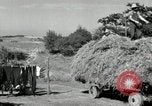 Standbild Lkw beladen mit Heu Saint Clairsville Ohio USA, 1940, aus Sekunde 48 historischem Filmmaterial Videoclip 65675030604