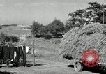 Standbild Lkw beladen mit Heu Saint Clairsville Ohio USA, 1940, aus Sekunde 49 historischem Filmmaterial Videoclip 65675030604