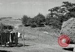 Standbild Lkw beladen mit Heu Saint Clairsville Ohio USA, 1940, aus Sekunde 51 historischem Filmmaterial Videoclip 65675030604