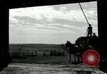 Standbild Lkw beladen mit Heu Saint Clairsville Ohio USA, 1940, aus Sekunde 55 historischem Filmmaterial Videoclip 65675030604