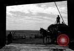 Standbild Lkw beladen mit Heu Saint Clairsville Ohio USA, 1940, aus Sekunde 56 historischem Filmmaterial Videoclip 65675030604