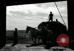 Standbild Lkw beladen mit Heu Saint Clairsville Ohio USA, 1940, aus Sekunde 58 historischem Filmmaterial Videoclip 65675030604