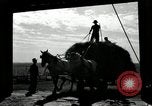 Standbild Lkw beladen mit Heu Saint Clairsville Ohio USA, 1940, aus Sekunde 59 historischem Filmmaterial Videoclip 65675030604