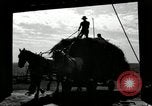 Standbild Lkw beladen mit Heu Saint Clairsville Ohio USA, 1940, aus Sekunde 60 historischem Filmmaterial Videoclip 65675030604