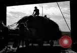 Standbild Lkw beladen mit Heu Saint Clairsville Ohio USA, 1940, aus Sekunde 61 historischem Filmmaterial Videoclip 65675030604