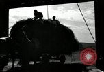 Standbild Lkw beladen mit Heu Saint Clairsville Ohio USA, 1940, aus Sekunde 62 historischem Filmmaterial Videoclip 65675030604