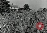 Image of farmers learn about REA Saint Clairsville Ohio USA, 1940, second 3 stock footage video 65675030606