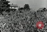 Image of farmers learn about REA Saint Clairsville Ohio USA, 1940, second 4 stock footage video 65675030606