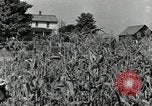 Image of farmers learn about REA Saint Clairsville Ohio USA, 1940, second 5 stock footage video 65675030606