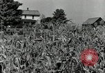 Image of farmers learn about REA Saint Clairsville Ohio USA, 1940, second 6 stock footage video 65675030606