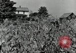 Image of farmers learn about REA Saint Clairsville Ohio USA, 1940, second 7 stock footage video 65675030606