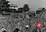 Image of farmers learn about REA Saint Clairsville Ohio USA, 1940, second 14 stock footage video 65675030606