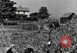 Image of farmers learn about REA Saint Clairsville Ohio USA, 1940, second 15 stock footage video 65675030606