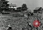 Image of farmers learn about REA Saint Clairsville Ohio USA, 1940, second 17 stock footage video 65675030606