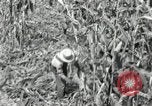 Image of farmers learn about REA Saint Clairsville Ohio USA, 1940, second 19 stock footage video 65675030606